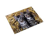 Sous-main Läufer Chats dans la paille 400 x 530 mm