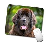 sous-Main Portrait d'un Grand Chien Duveteux Protection Bureau Bureau