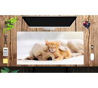 Sous-main XXL avec tapis de souris intégré - « Amitié entre chat et chien » - En vinyle résistant - 100 x 50 cm - Sous-main antidérapant pour une meilleure protection - Fabriqué en Allemagne