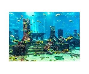 sous-Marin Affiche Fish Tank Décoration Murale, Ville sous-Marine Ruines Aquarium Affiche PVC Corail Aquarium Fond Autocollant(1#)