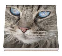 Sous Verre Céramique (1 unité) - Fabulous - Chateau Fougeres Sur Bievre France (100 x 100 mm) G