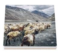 Sous Verre Céramique (1 unité) - Fabulous - Citations Macron Make Our Planet Great Again (100 x 100 mm) G