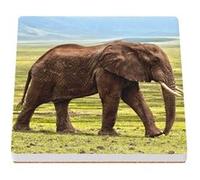 Sous Verre Céramique (1 unité) - Fabulous - Emmanuel Macron Dab Noir et Blanc (100 x 100 mm) G