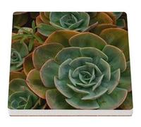 Sous Verre Céramique (1 unité) - Fabulous - Grow with the Flow (100 x 100 mm) G