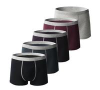 Sous-vêtements d'incontinence pour homme - Slip boxeur en coton absorbant avec neutralisation des odeurs - Anti-fuite - Lavable et réutilisable - Taille XL (5 pièces-g, XL)