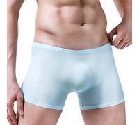 sous-vêtements Homme Sexy été Doux Mince Glace Transparente Silk s Respirants s Taille Non Caleçon Humour (Sky Blue, XXXL)
