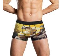 sous-vêtements pour Hommes Python Jaune et Blanc, Boxer Respirant et évacuant l'humidité, sous-vêtements légers pour Hommes