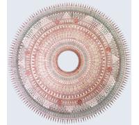 Sousa - Walden Ponds Monk [Import]