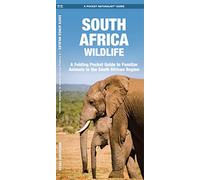 South Africa Wildlife