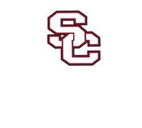 South Central Rebels Notebook: Bold and Classic School Spirit Design | Lined Pages for Notes, Plans, and Ideas | 6x9 College Ruled