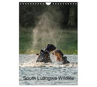 South Luangwa Wildlife (Wall Calendar 2026 DIN A4 portrait), CALVENDO 12 Month Wall Calendar: Wild animals in the South Luangwa National Park