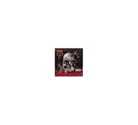 Slayer – South of Heaven – Import – Warner Music