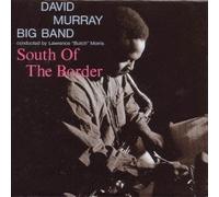 South of the Border by David Murray