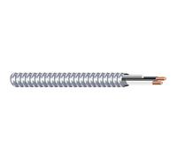 Southwire 68579222 14/2 Type 50-Feet 14-Gauge 2 conducteurs MC solide en métal revêtus avec câble Aluminium Armour et vert isolé au sol de fils