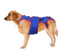 Soutien de la hanche pour les chiens, soutien au dos pour les chiens - Support pour animaux de compagnie et plats de réhabilitation, soutien à la hanche douce - cent avec des rayures D-Ring et réfléch