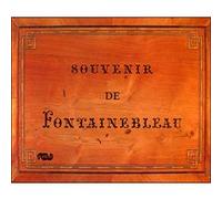 Souvenir de fontainebleau Collectif (Auteur)