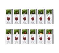 Souvenir d'enseignant | Boîte de friandises forme fruit pour fête - Souvenir Élève - Professeur | Remise de Diplôme Salle de Classe Élèves Garçons Filles Ados Anniversaire