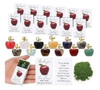 Souvenir d'enseignant,Lot de 6 Formes Fruit avec Boîte - Souvenir Élève - Professeur,élèves ados ole fin d'année anniversaire