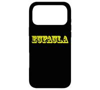 Souvenir d'Eufaula Coque pour iPhone 17 Pro Max