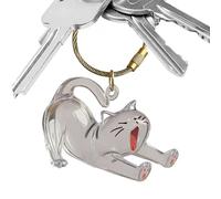 Souvenir Mémorial Poils Animal - Porte-clés à Poils d'Animal Rechargeable | Chaîne de Clés avec Pendentif Transparent en Acrylique Commémoratif pour Collection, Accessoire pour Sac à Main, Sac
