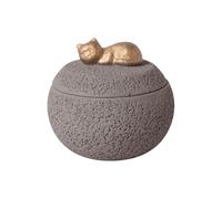 Souvenir Pour Animaux De Compagnie - Boîte De Cendres Pour Animaux De Compagnie De 350 Ml | Urnes De Crémation En Ciment - Urne Décorative Lisse Pour Chiots, Chats Tenant Des Cendres, Cadeau Commémo