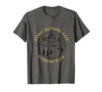 Souvenir vintage du parc national Denali Alaska 30 % Club T-Shirt