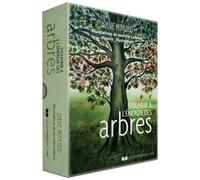 S'ouvrir À L'énergie Des Arbres