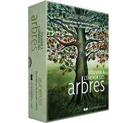 S'ouvrir À L'énergie Des Arbres