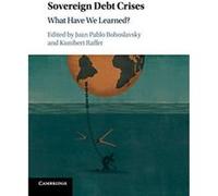 Sovereign Debt Crises: What Have We Learned? - [Version Originale] Inconnu (Auteur)