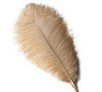 Sowder Autruche Plumes Plume pour Mariage Table Décoration de la Maison 12-14 inch Champagne