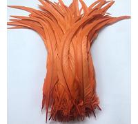 Sowder Coque Queue de coq plumes 16-45,7 cm réalisés par lot de 20 Orange