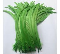 Sowder Coque Queue de coq plumes 16-45,7 cm réalisés par lot de 20 vert citron