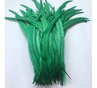 Sowder Coque Queue de coq plumes 16-45,7 cm réalisés par lot de 20 vert foncé