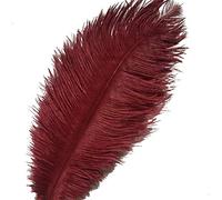 Sowder Lot de 10 plumes d’autruche pour décoration d'intérieur, mariage 30 à 35 cm