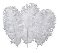 Sowder Lot de 10 plumes d’autruche pour décoration d'intérieur, mariage 30 à 35 cm