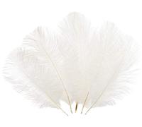 Sowder Lot de 10 plumes d'autruche de 15 à 20 cm pour centres de table de mariage, décoration d'intérieur (blanc)