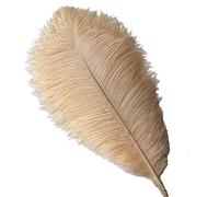 Sowder Lot de 10 plumes d'autruche de 15 à 20 cm pour centres de table de mariage, décoration d'intérieur (champagne)