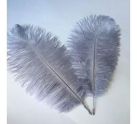 Sowder Lot de 10 Plumes d'autruche de 35 à 40 cm pour Centre de Table de Mariage, décoration d'intérieur (Gris)