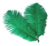 Sowder Lot de 10 plumes d'autruche de 35 à 40 cm pour centres de table de mariage, décoration d'intérieur (vert foncé)