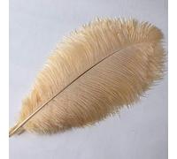 Sowder Lot de 10 plumes d'autruche de 40 à 45 cm pour centre de table de mariage ou décoration de la maison (champagne)
