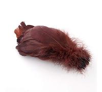Sowder Lot de 100 plumes d'oie naturelles pour vêtements