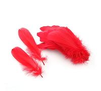 Sowder Lot de 100 plumes d'oie naturelles pour vêtements