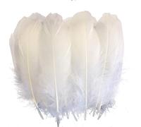Sowder Lot de 100 plumes d'oie naturelles pour vêtements