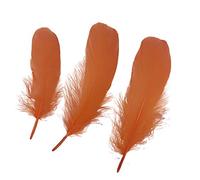Sowder Lot de 100 plumes d'oie naturelles pour vêtements