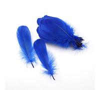 Sowder Lot de 100 plumes d'oie naturelles pour vêtements