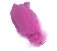 Sowder Lot de 100 plumes d'oie naturelles pour vêtements