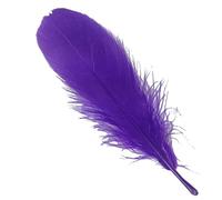 Sowder Lot de 100 plumes d'oie naturelles pour vêtements