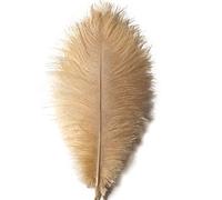 Sowder Lot de 20 Plumes d'autruche Naturelles de 25 à 30 cm pour Centre de Table de Mariage, décoration d'intérieur (Champagne)
