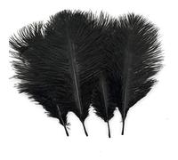 Sowder Lot de 20 plumes d'autruche naturels 25-30 cm, Plumes pour table de mariage, décoration de la maison