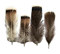 Sowder Lot de 20 plumes de faisan de dinde 10,2 à 20,3 cm pour décoration de maison ou de mariage